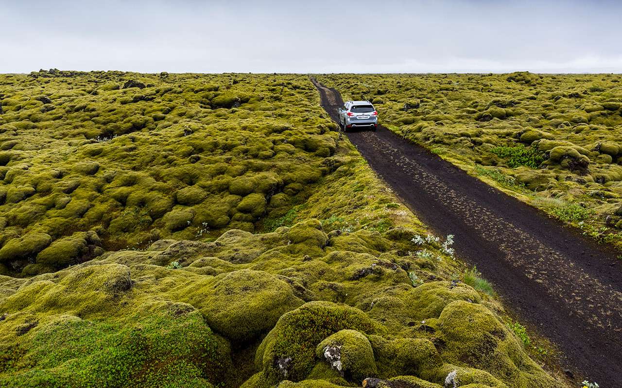 Как же это красиво: лучшие пейзажи Исландии из окна Subaru — фото 1085415