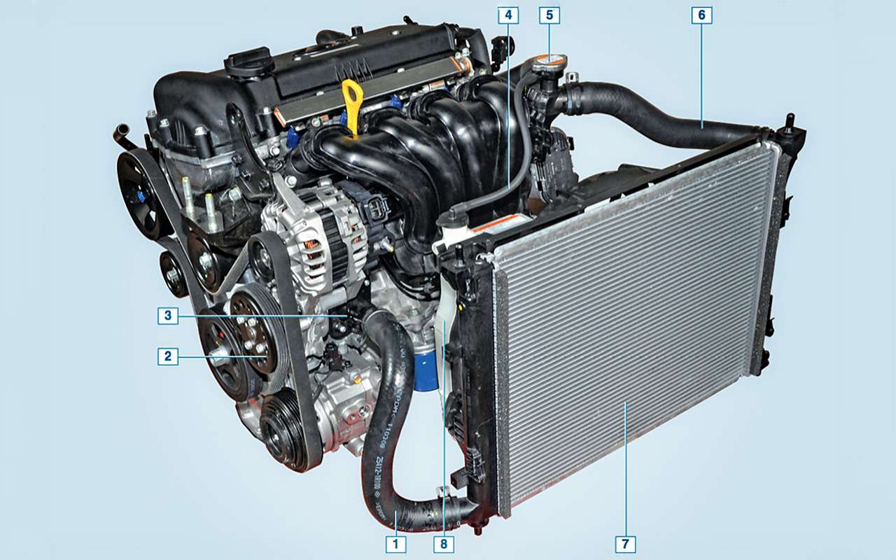 Система охлаждения двигателя Hyundai Solaris первого поколения. Термостат стоит на выходе из радиатора, а расширительный бачок размещен прямо на радиаторе и выполнен по схеме «без давления».
1 — отводящий шланг радиатора; 2 — шкив насоса охлаждающей жидкости; 3 — крышка термостата; 4 — шланг, соединяющий расширительный бачок; 5 — пробка заливной горловины; 6 — подводящий шланг радиатора; 7 — радиатор; 8 — расширительный бачок.