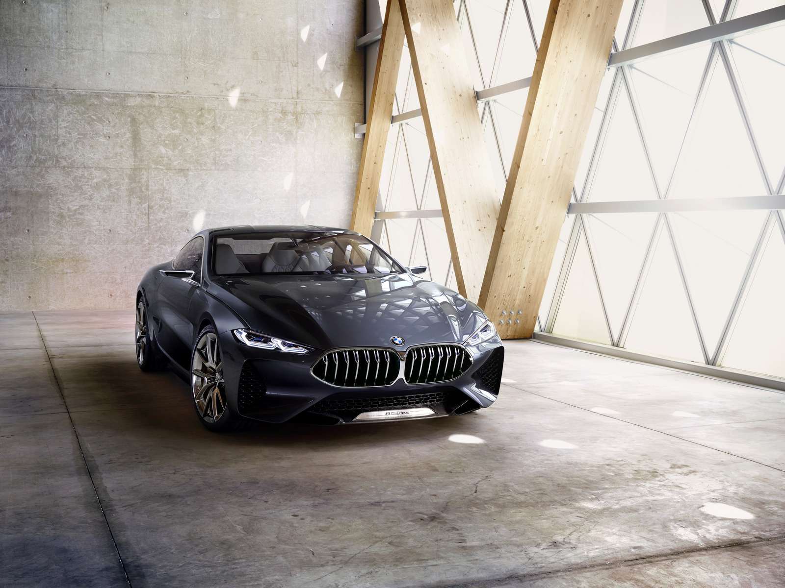 Великолепная «восьмерка»: новое купе BMW — теперь с кристаллами! — фото 756647