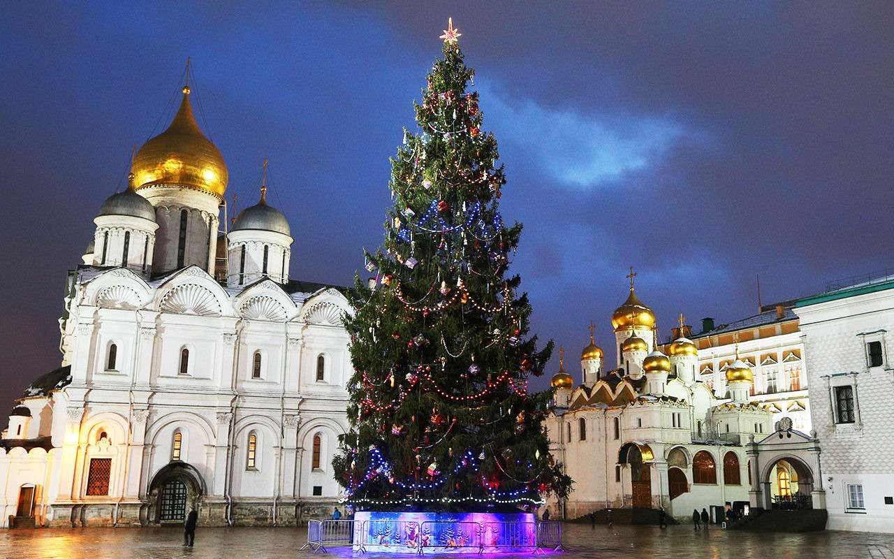 Главная елка страны (и как ее везут в Кремль)