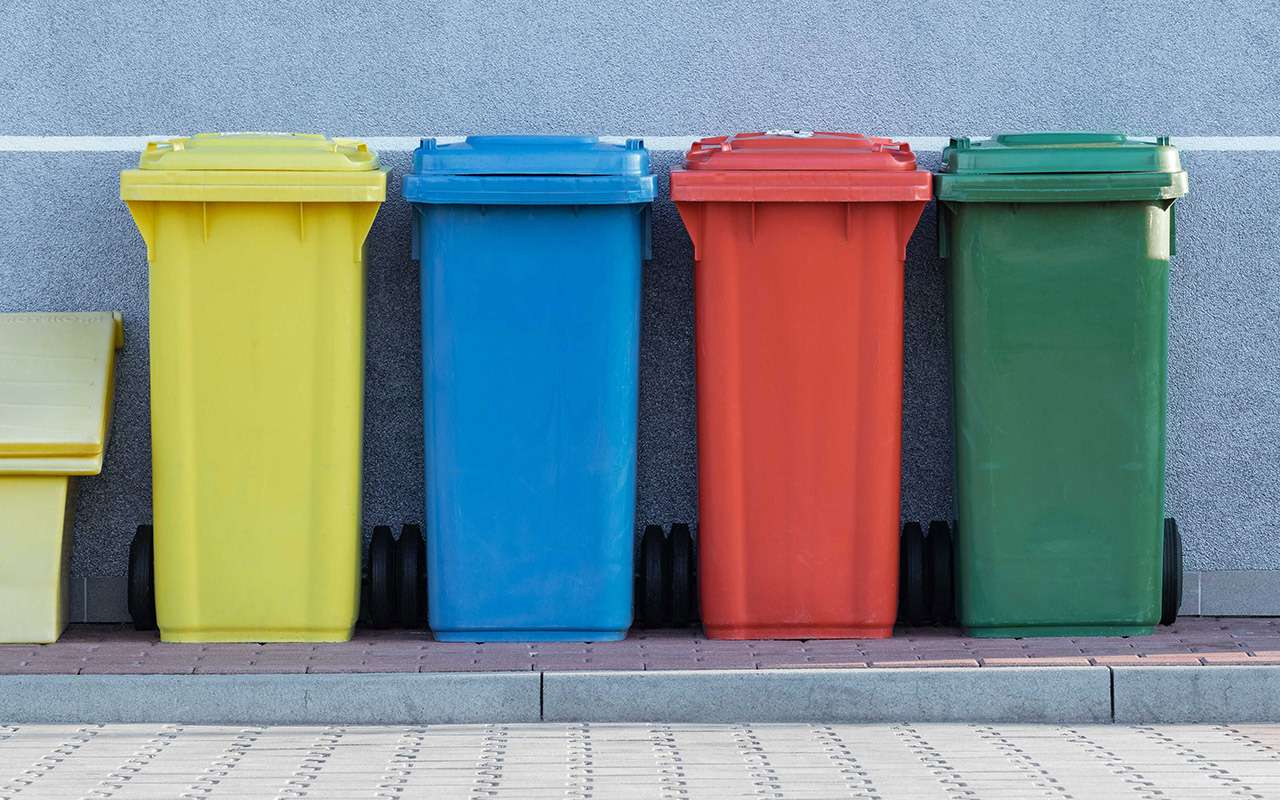Эксперт рассказал, как россияне могут зарабатывать на мусоре — фото 1300214