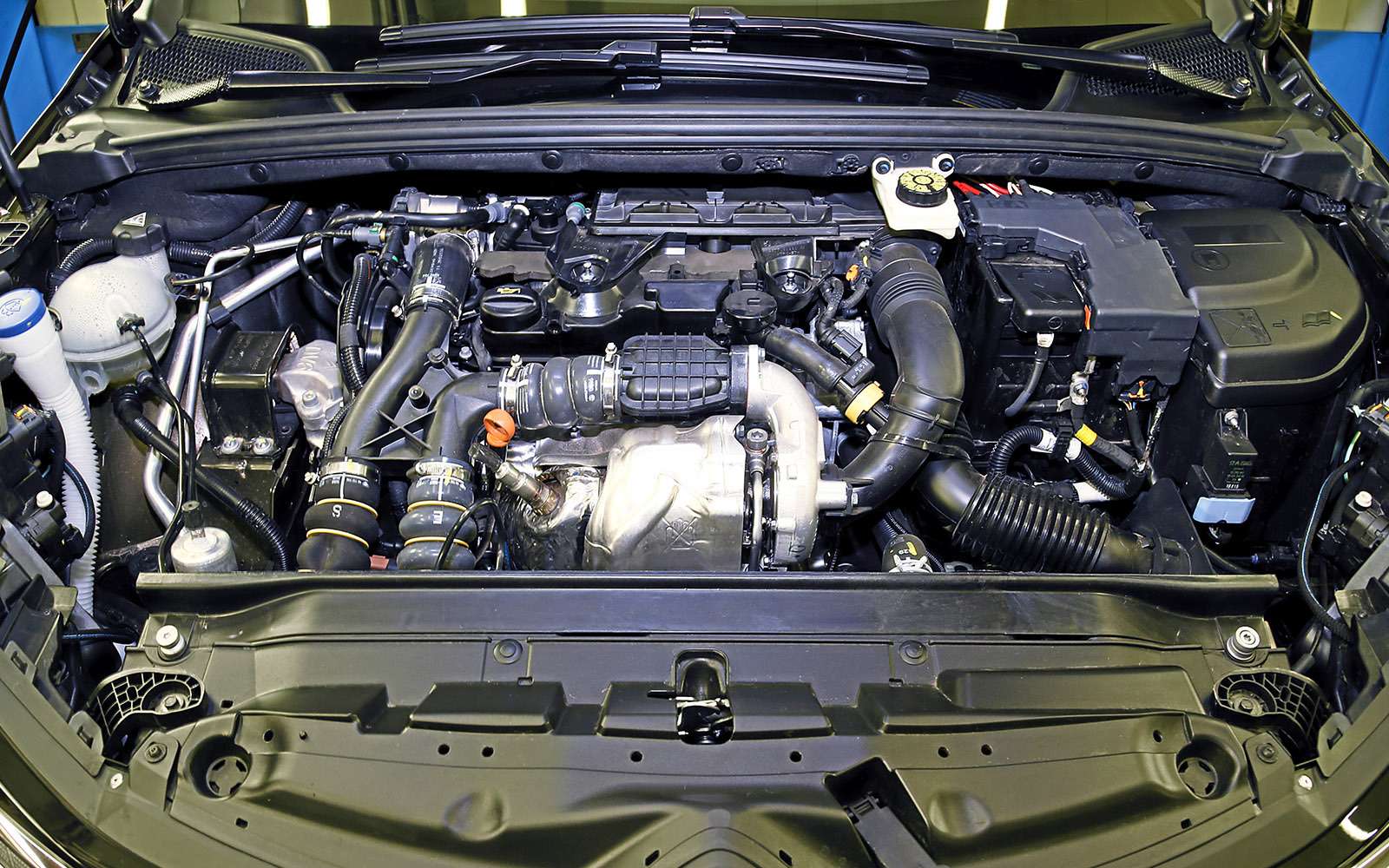Обновленный Citroen C4 sedan: да будет свет! — фото 640445