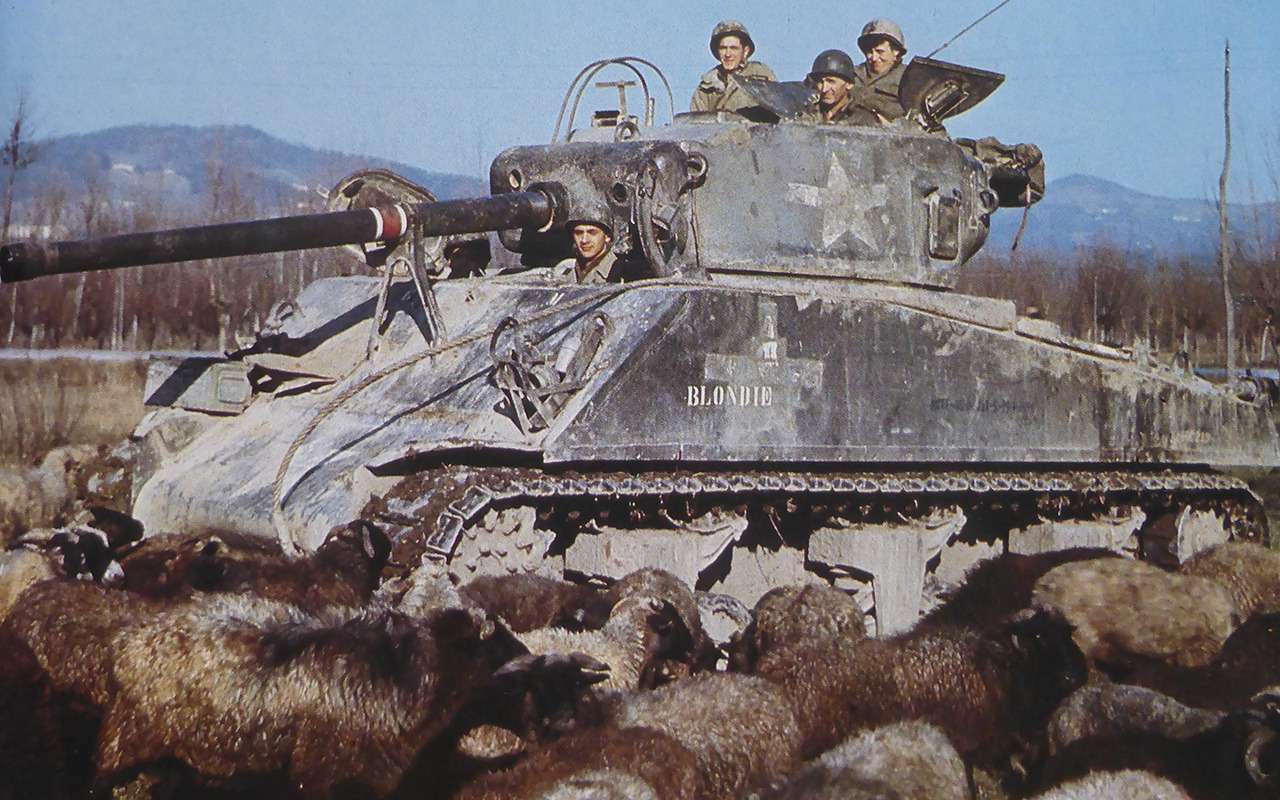 Танк «Шерман», Италия, 1943-1945 гг. (http://waralbum.ru)