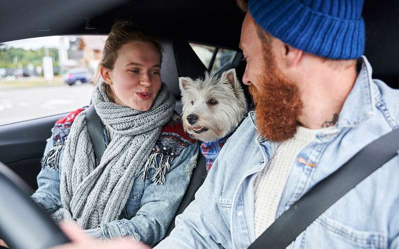 Собака + автомобиль: 4 самых живучих заблуждения