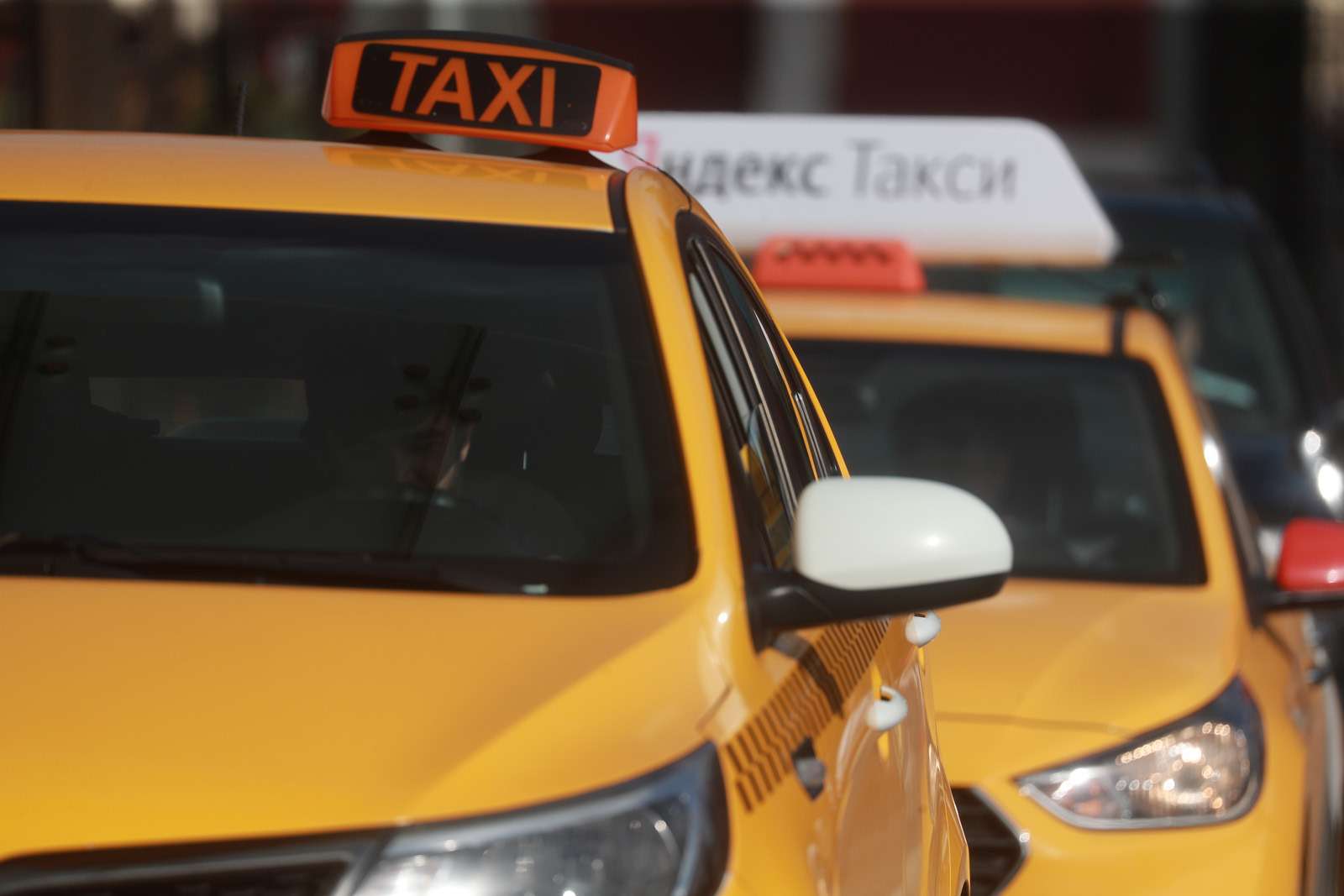 Коньки, икра и плюшевая свинка: что забывали пассажиры такси в праздники
