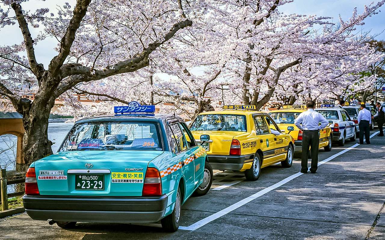 Выбор таксистов разных стран (у России опять особый путь) — фото 783236
