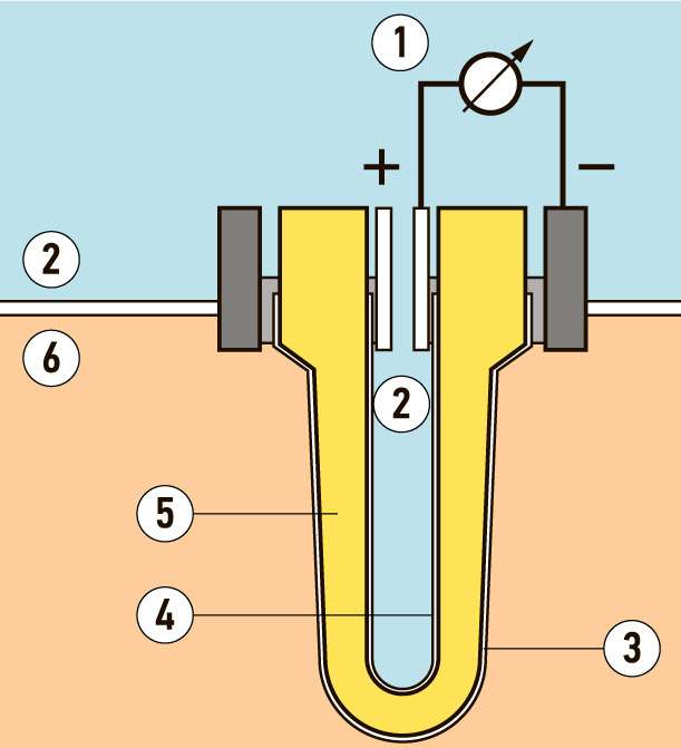 Конструкция триггерного кислородного датчика: 1 – напряжение датчика; 2 – воздух окружающей среды; 3 – платиновый электрод (сторона отработавших газов); 4 – платиновый электрод (сторона воздуха окружающей среды); 5 – двуокись циркония; 6 – ОГ.